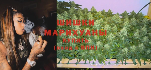 спайс Алзамай
